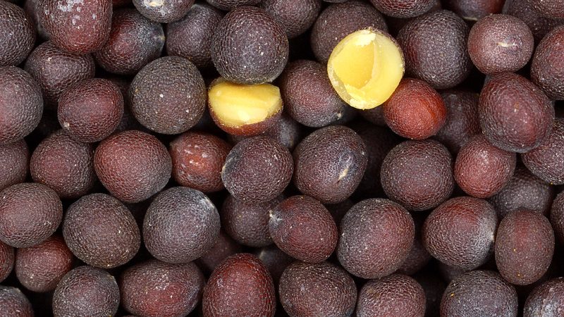 Mustard Seeds (Bada Ithuru)