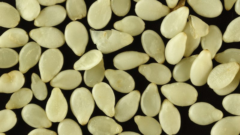 Sesame Seeds (White and Black)